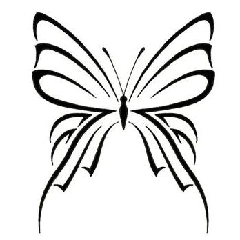 Butterfly7