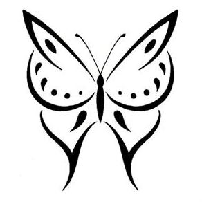 Butterfly15