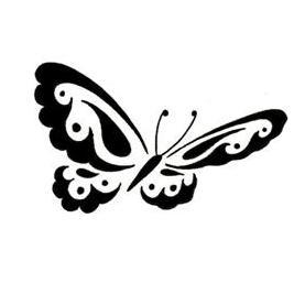 Butterfly17