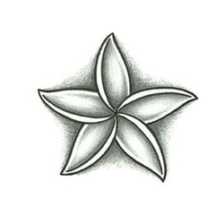 Jasmine Flower Tattoo Design - TattooWoo.com