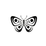 Butterfly54