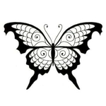 Butterfly66