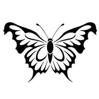 Butterfly39