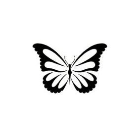 Butterfly47
