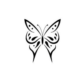 Butterfly49
