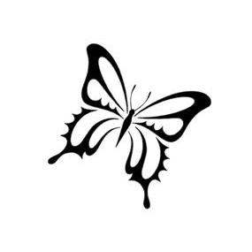 Butterfly55