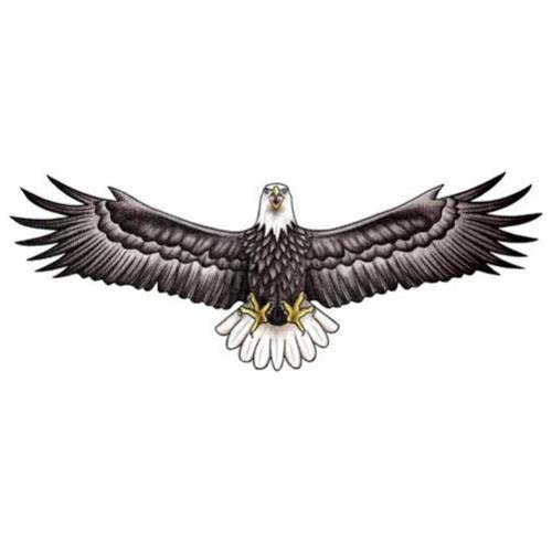 Eagle18