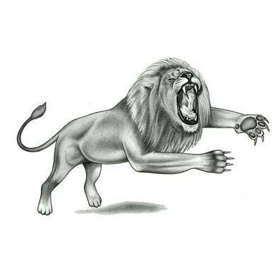 Lion 6