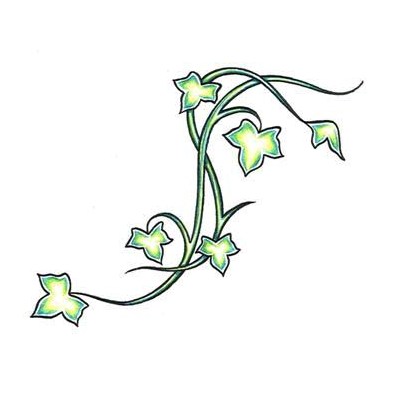 Small Green Ivy Vine Tattoo Design 