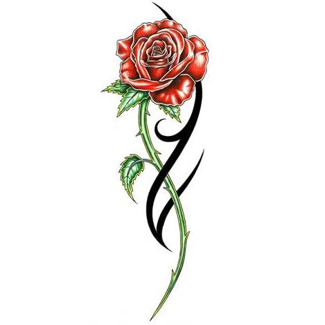Rose Tattoo Design - TattooWoo.com